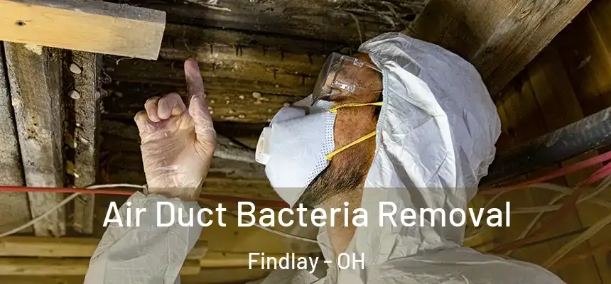 Air Duct Bacteria Removal Findlay - OH
