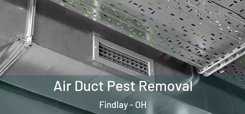  Air Duct Pest Removal Findlay - OH