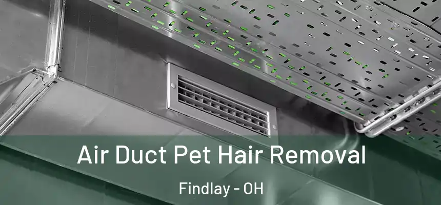  Air Duct Pet Hair Removal Findlay - OH