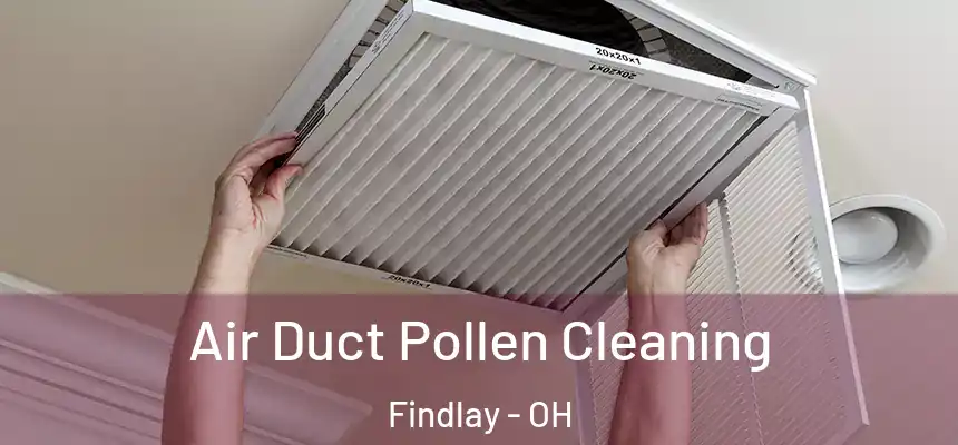 Air Duct Pollen Cleaning Findlay - OH