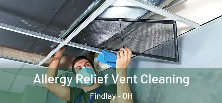  Allergy Relief Vent Cleaning Findlay - OH