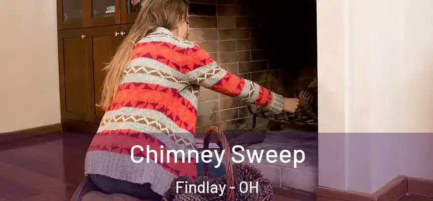 Chimney Sweep Findlay - OH