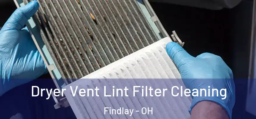  Dryer Vent Lint Filter Cleaning Findlay - OH