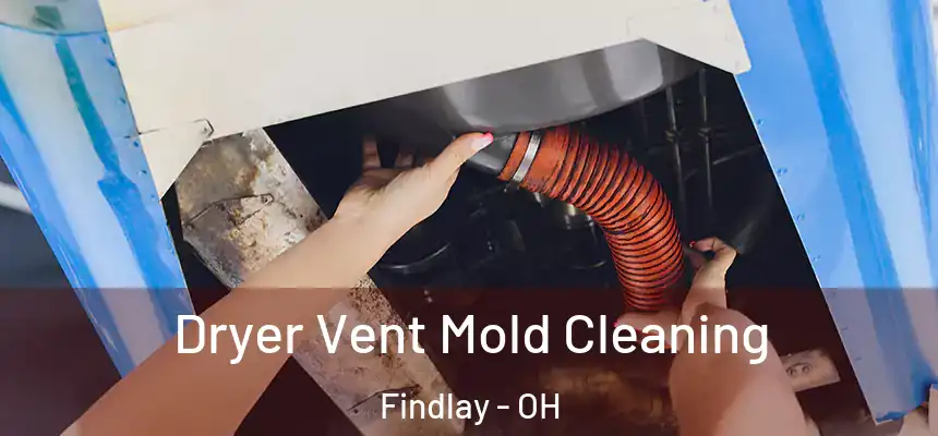 Dryer Vent Mold Cleaning Findlay - OH