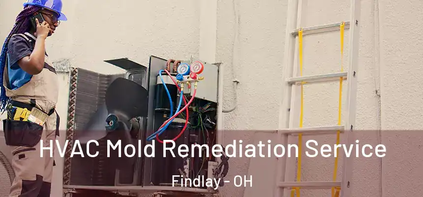  HVAC Mold Remediation Service Findlay - OH