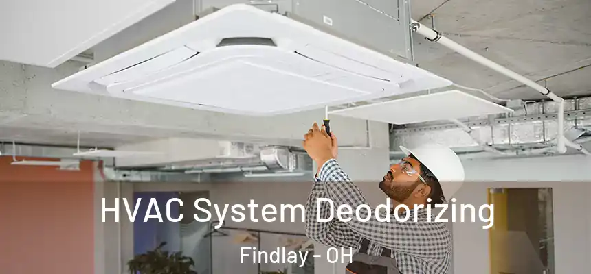  HVAC System Deodorizing Findlay - OH
