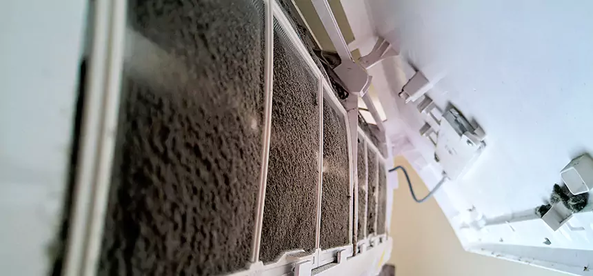 Preventive Air Duct Bacteria Removal in Findlay