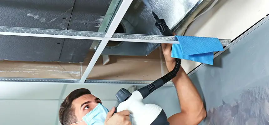 Our Air Duct Rodent Removal Services in Findlay, OH