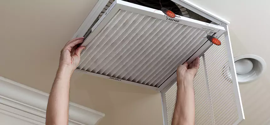 Our Insect Removal from Air Ducts Services in Findlay, OH