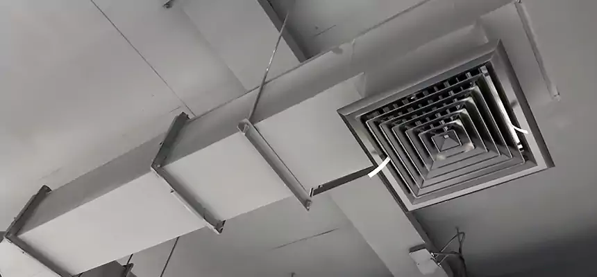 Our Rodent Droppings In Vents Services in Findlay, OH