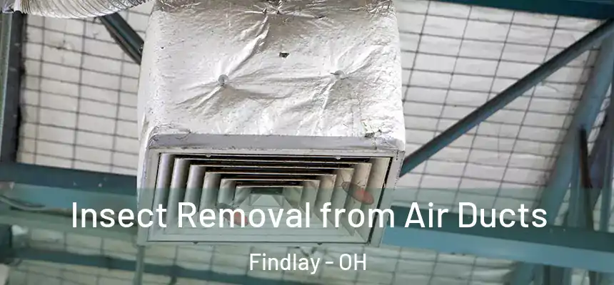  Insect Removal from Air Ducts Findlay - OH
