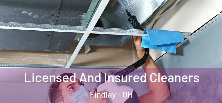 Licensed And Insured Cleaners Findlay - OH