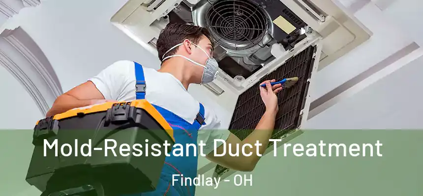  Mold-Resistant Duct Treatment Findlay - OH