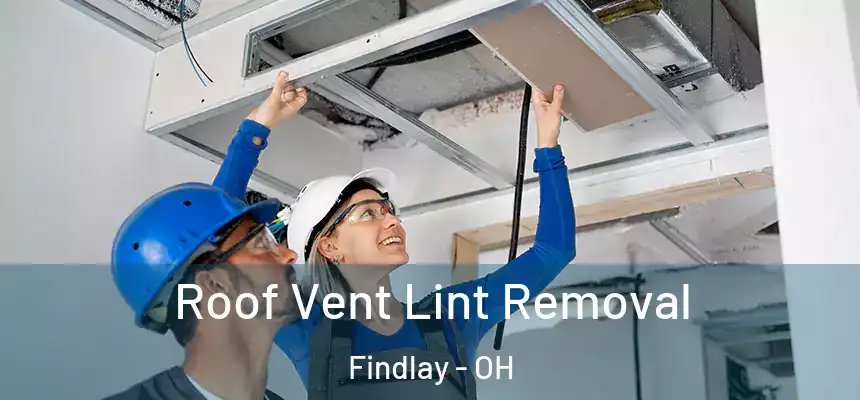  Roof Vent Lint Removal Findlay - OH