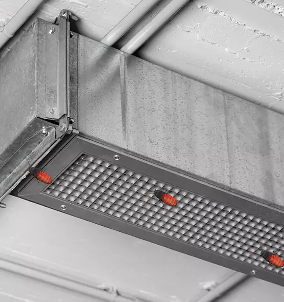 About Air Duct Cockroach Removal in Findlay, OH