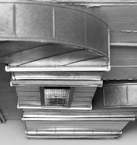 Professional Air Duct Pet Hair Removal in Findlay, OH