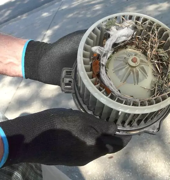 About Air Duct Rat Removal in Findlay, OH