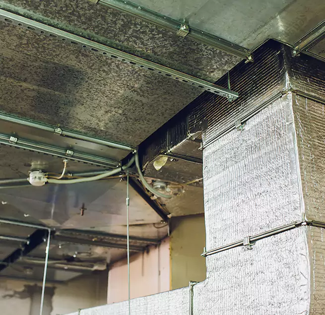 Why Homeowners & Businesses Trust Us in Findlay, OH?